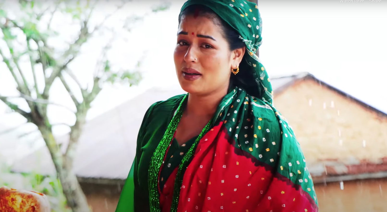 तीज गीत ‘नारीको बेदना‘ सार्वजनिक